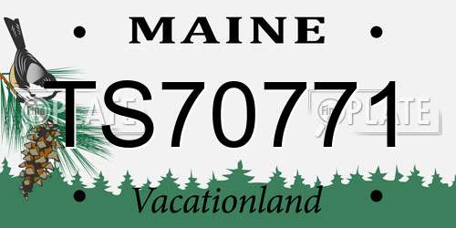 TS70771 Maine License Plate