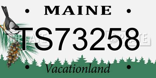 TS73258 Maine License Plate