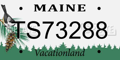 TS73288 Maine License Plate