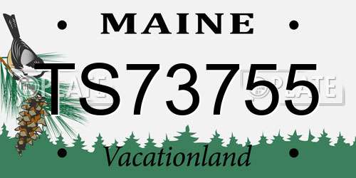 TS73755 Maine License Plate