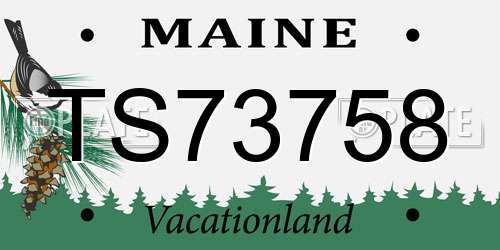 TS73758 Maine License Plate