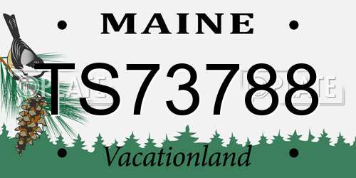 TS73788 Maine License Plate