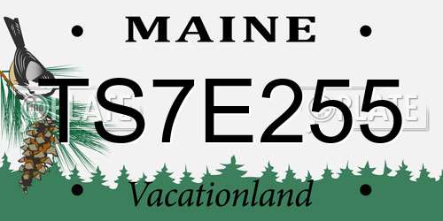 TS7E255 Maine License Plate