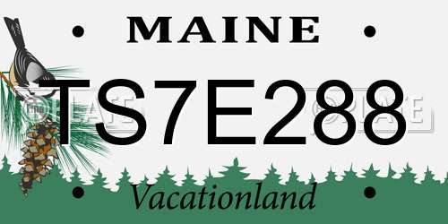 TS7E288 Maine License Plate