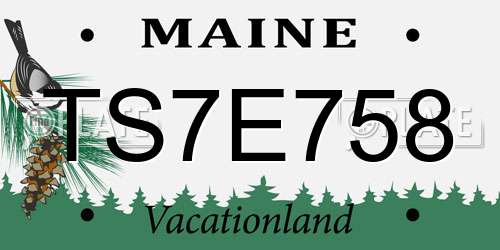 TS7E758 Maine License Plate
