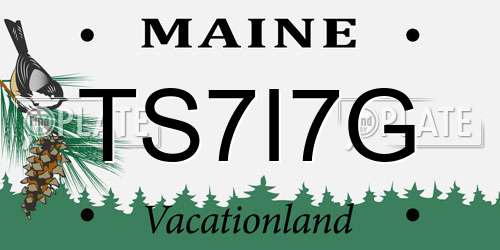 TS7I7G Maine License Plate