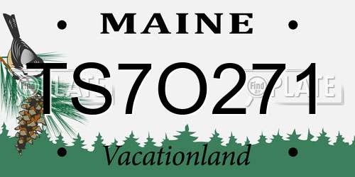 TS7O271 Maine License Plate