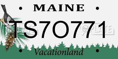 TS7O771 Maine License Plate