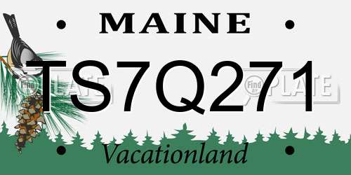 TS7Q271 Maine License Plate