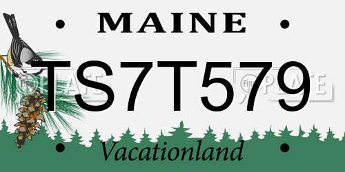 TS7T579 Maine License Plate