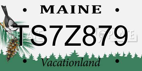 TS7Z879 Maine License Plate