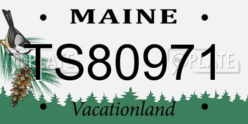 TS80971 Maine License Plate