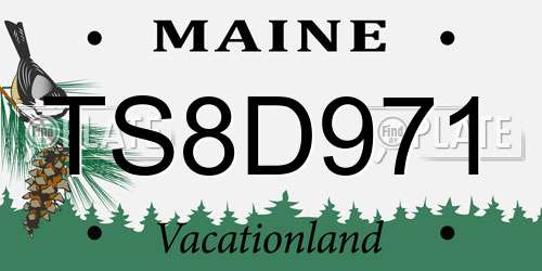 TS8D971 Maine License Plate