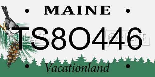 TS8O446 Maine License Plate