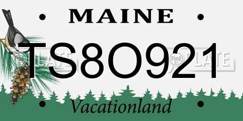 TS8O921 Maine License Plate