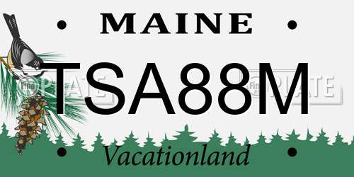 TSA88M Maine License Plate