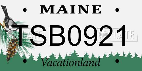 TSB0921 Maine License Plate
