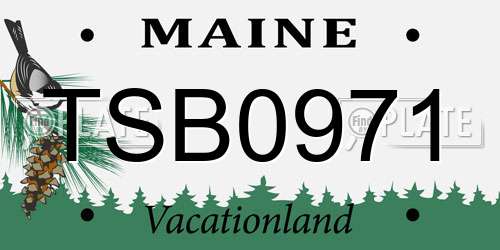 TSB0971 Maine License Plate