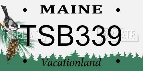 TSB339 Maine License Plate
