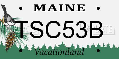 TSC53B Maine License Plate