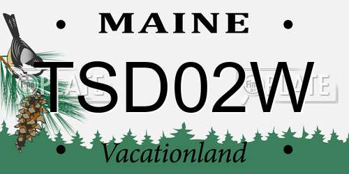 TSD02W Maine License Plate