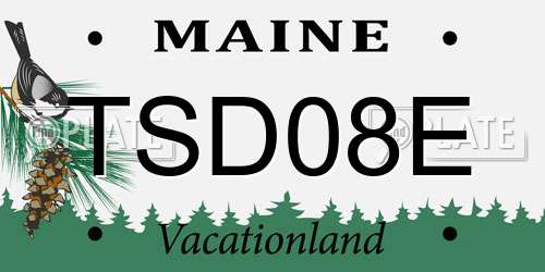 TSD08E Maine License Plate