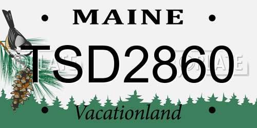 TSD2860 Maine License Plate