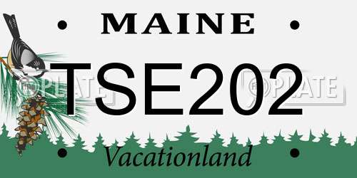 TSE202 Maine License Plate