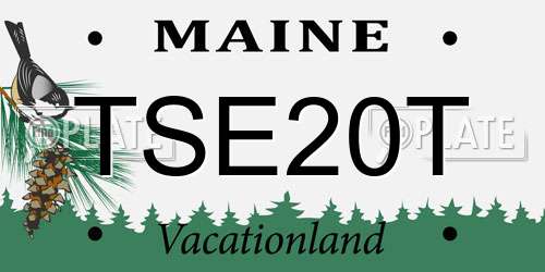 TSE20T Maine License Plate