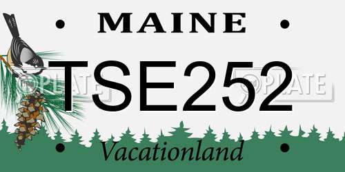 TSE252 Maine License Plate