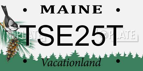 TSE25T Maine License Plate