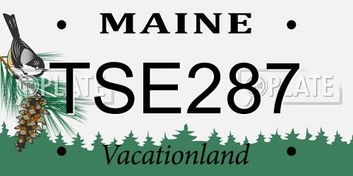 TSE287 Maine License Plate