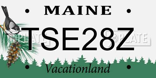 TSE28Z Maine License Plate