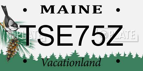TSE75Z Maine License Plate