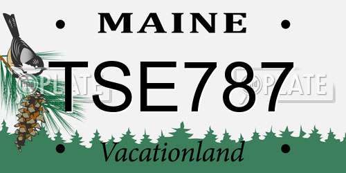TSE787 Maine License Plate