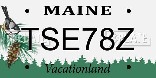 TSE78Z Maine License Plate