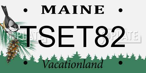 TSET82 Maine License Plate