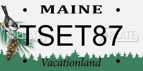 TSET87 Maine License Plate