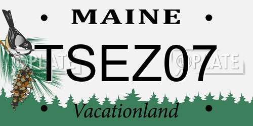 TSEZ07 Maine License Plate