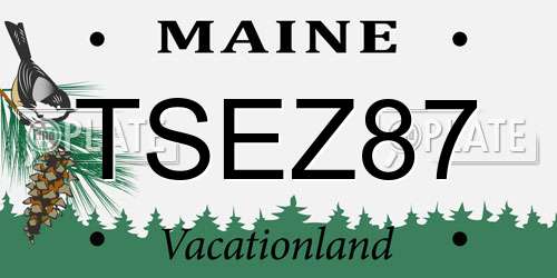 TSEZ87 Maine License Plate