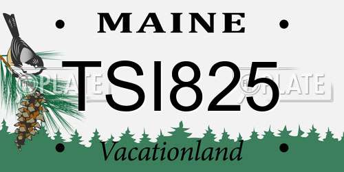 TSI825 Maine License Plate