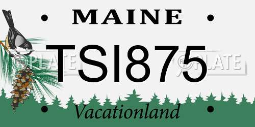 TSI875 Maine License Plate
