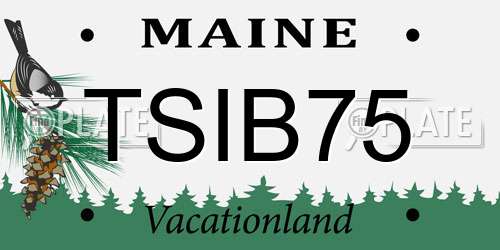 TSIB75 Maine License Plate