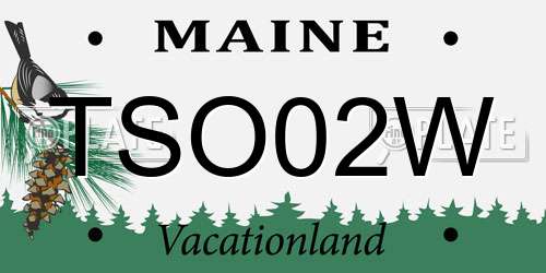 TSO02W Maine License Plate