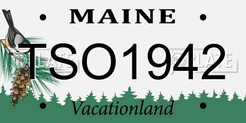 TSO1942 Maine License Plate