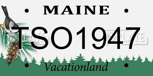 TSO1947 Maine License Plate