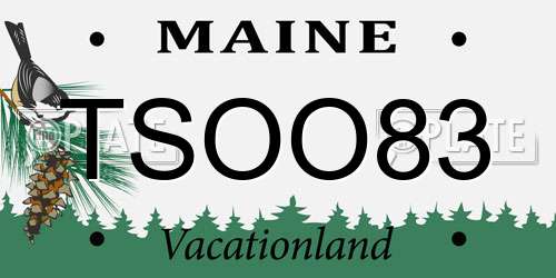TSOO83 Maine License Plate