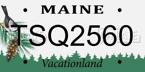 TSQ2560 Maine License Plate
