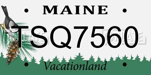 TSQ7560 Maine License Plate