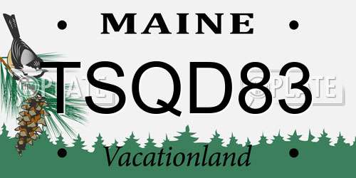 TSQD83 Maine License Plate